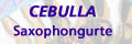 cebulla